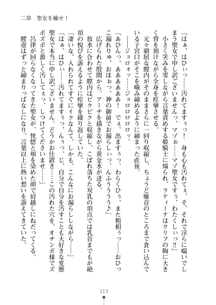 Cool Maso! Fantasy~ Shitsukete Himekishi Sama