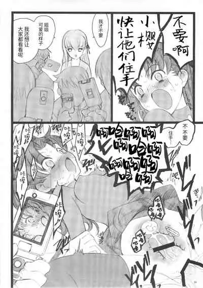 (C70) [Keumaya (Inoue Junichi)] Hyena 2 Walpurgis no Yoru 2 (Fate stay night) [Chinese] [牛肝菌汉化]