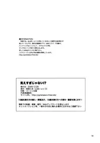 (C77) [Aihara Otome (Yamada Nyoriko)] Miesugi Janai!? | Isn't this too Revealing!? (Neon Genesis Evangelion) [English] [TyroLuuki]