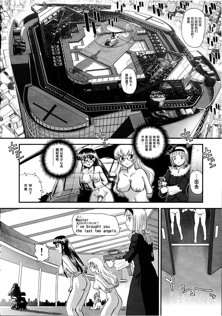 Dulce Report 14 | 达西报告 14