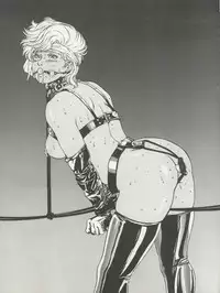 (C45) [ALPS (Various)] LOOK OUT 29 (Various)