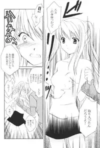 (C65) [Aion (Amou Mari)] Random Ni Saku Nobe No Hana Ni (Full Metal Alchemist)