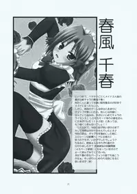 (C73) [RED RIBBON REVENGER (Makoushi, Taireru)] Maid-san tachi no Junan (Hayate no Gotoku!)