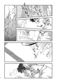 [Getsumen-Spiral (Mayama Satori)] ～Klavier 2～ (Neon Genesis Evangelion)