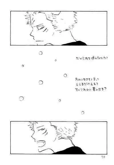 海の虹が沈む森