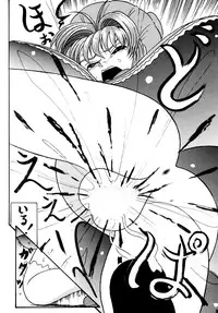 (C56) [Shin-Chan Carnival !? (Chiba Shinji)] Video Captor Sakura (Card Captor Sakura)