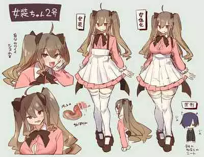 Nyotaika/TSF Summary!