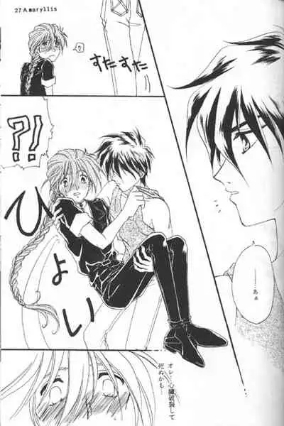 [Youkai Club (Hazuki Younosuke)] Amaryllis (Gundam Wing)