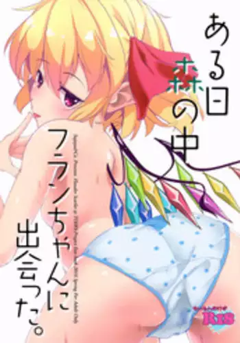 (C94) [Sujoyu & Co. (Sujoyushi)] JSF Junior Succubus Frandre (Touhou Project)[Chinese] [无毒汉化组]