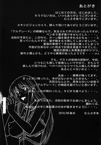 (C78) [Shuudan Bouryoku (Various)] Hooliganism 17 Record of ALDELAYD Act.12 Exhibition DX9
