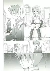 (SC23) [PARANOIA CAT (Fujiwara Shunichi)] Himitsu no Guild ni Goyoujin 1+2+α (Ragnarok Online)