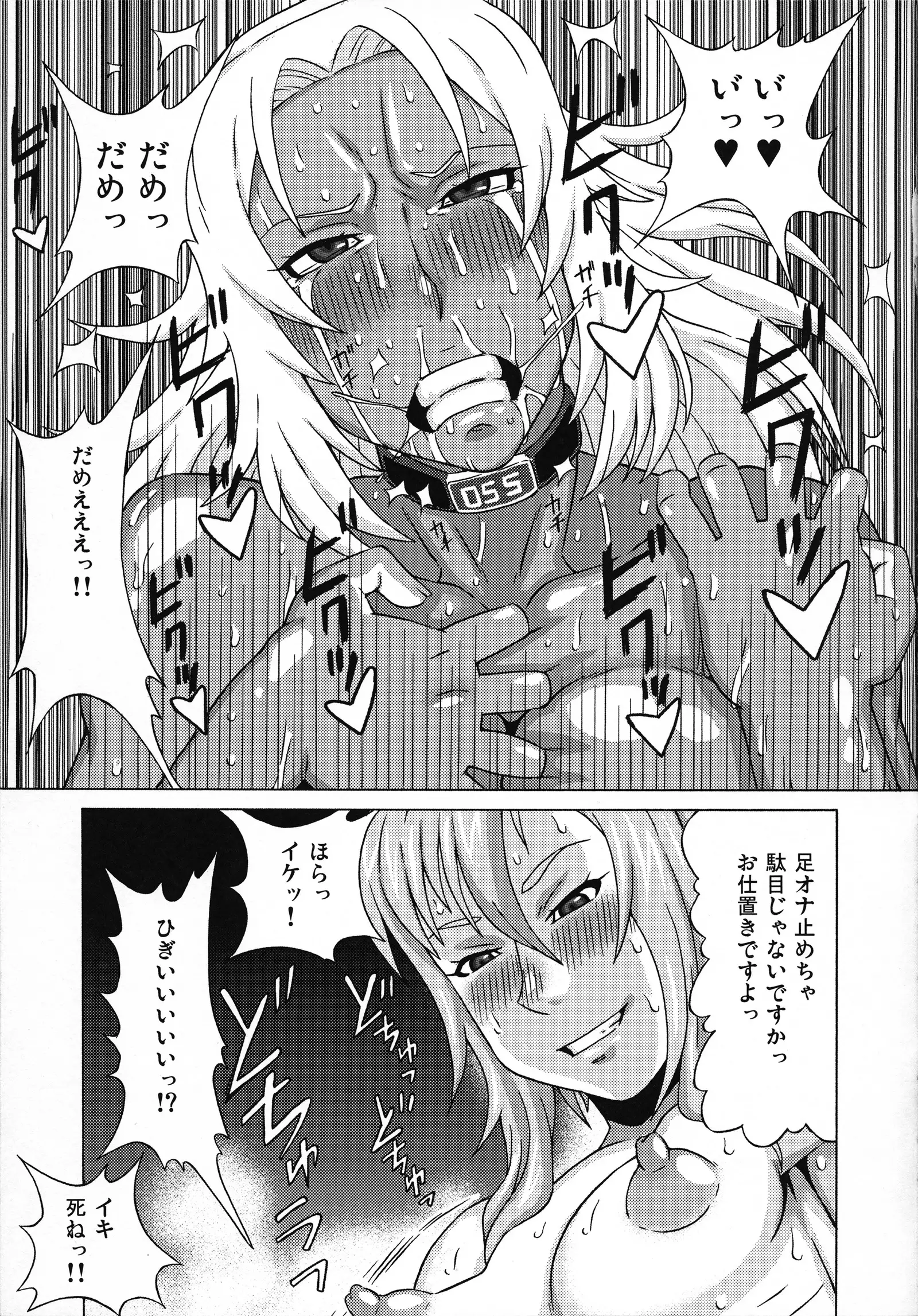 Elma Taisa to Irina Chuui ni Iroiro Shite Mita.