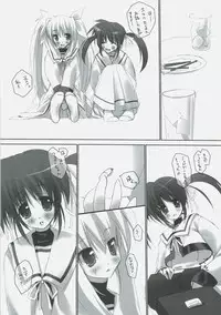 (C72) [Private Garden (Tsurusaki Takahiro)] Retrieve.5 (Mahou Shoujo Lyrical Nanoha)