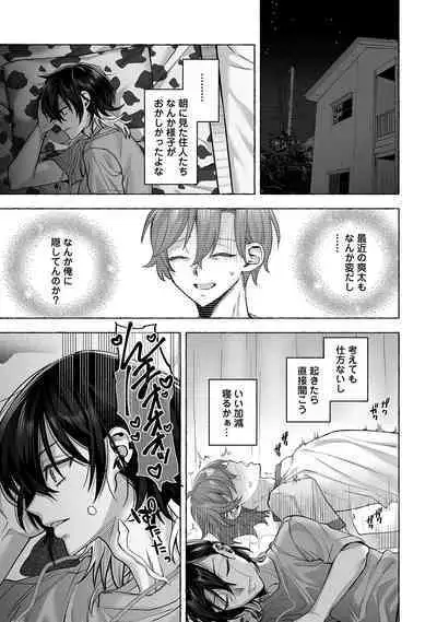 Danshoku rei no sumu apauto 2