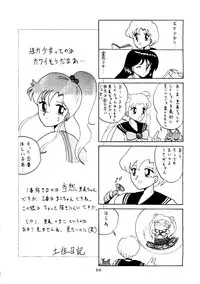 [T2 UNIT, RyuukiSya, Sakura ROC (Various)] LUNATIC ASYLUM (Sailor Moon)