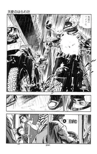 [Takashi Ishii] Tenshi no Harawata Vol. 01