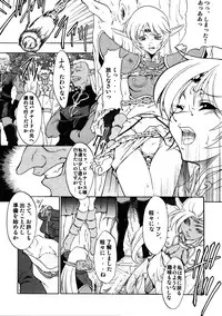 (C67) [FAKESTAR (Miharu)] D II (Record of Lodoss War)