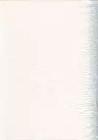 [Yuugengaisha Anime World Star] Nouveis Logic