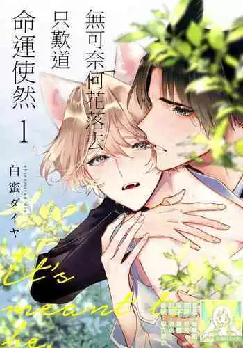 MC学園 転入予備校:酒折未夢