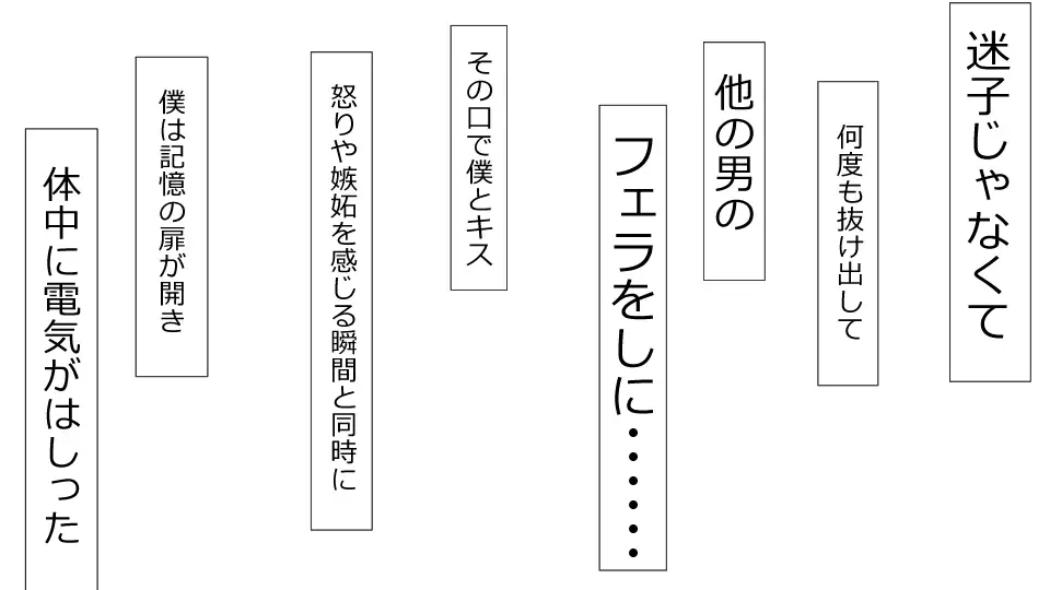 Makoto ni Zannen nagara Anata no Kanojo wa Netoraremashita. Zengohen Set
