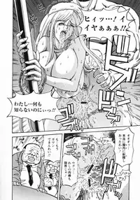 [Hasebe Mitsuhiro] Kinpatsu Bakunyuu Seisho