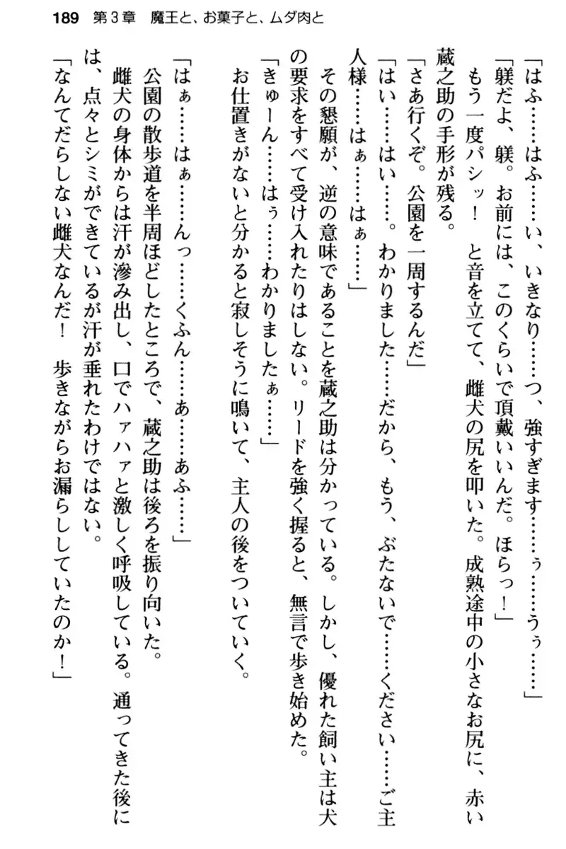 Maou no Kuse ni Namaiki da! 2: Kondo wa Seisen da!