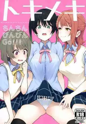 Tokimeki Chinchin Binbin Go!!!