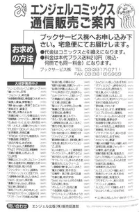 [Hashi Cube] Honey Angel Slave