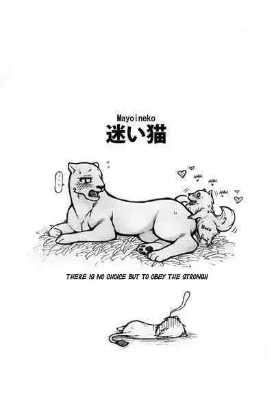 (Kansai! Kemoket) [Mayoineko (Various)] Jaku Niku Goukan (TOKYO JUNGLE) [English] =Mr.MPD=