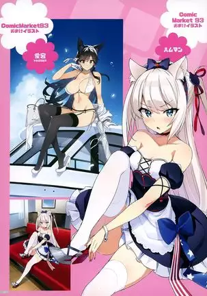 Zenninn Nakadashi Matome Hon 2020 Full color Soushuuhen