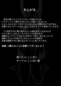 [Koshibai-ya (Koshibai)] Toaru Deedlit no Choukyou Nisshi (Record of Lodoss War)