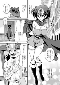 [Shallot Coco (Yukiyanagi)] Yukiyanagi no Hon 36 Mucchimuchi Yuusha-chan wa Kyou mo Sekuhara Saremakuru!! (Dragon Quest III) [Digital]