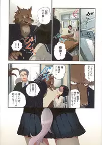 Onaka ni Ippai, Ayakashi no Tane