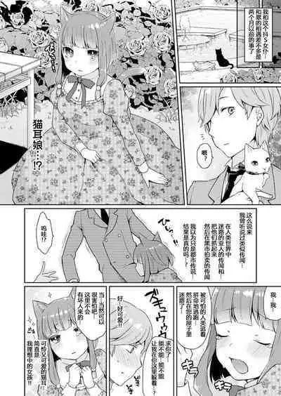 Iinari Servant