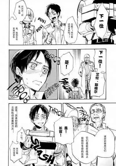 Shonen Knife | 少年的刀