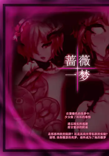 丽塔的蔷薇一梦