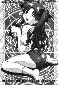 (C67) [Studio Wallaby (Takana Yu-ki)] SECRET FILE NEXT 11 - Fate is capricious (Fate/stay night)