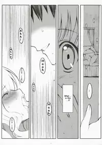 (SC35) [Kansai-Orange (Arai Kei)] Endless Summer Chapter-2 (D.C.S.S ～Da Capo Second Season～) [English]