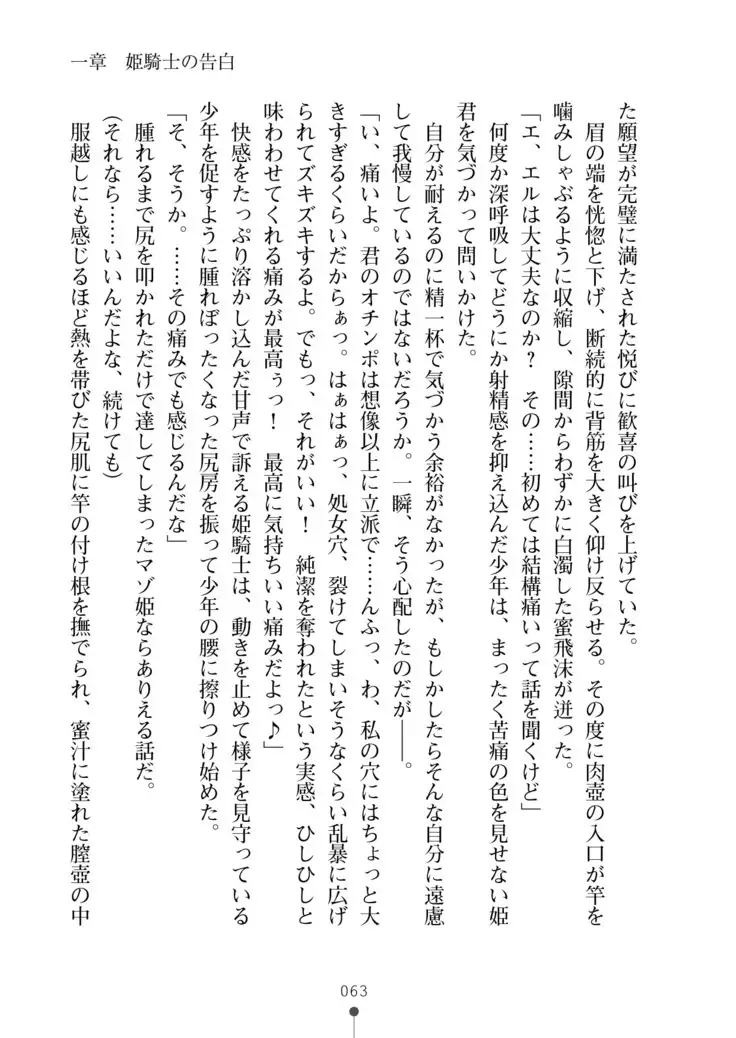 Cool Maso! Fantasy~ Shitsukete Himekishi Sama