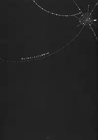 (COMIC1☆5) [D.N.A.Lab. (Miyasu Risa)] Kawaisou Yellow (Puella Magi Madoka☆Magica)