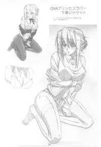 (C79) [SHIMAHOKKE (Kuroda Kazuya)] Shimahokke 13 (Princess Lover!, Akisora)