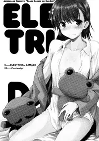 (C91) [Aspergillus (Okara)] ELECTRICAL DAMAGE (Toaru Kagaku no Railgun)