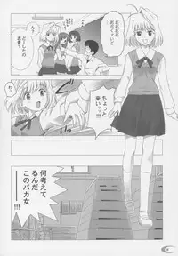 (C63) [Crazy Clover Club (Shirotsumekusa)] Tsukihime Complex (Tsukihime)