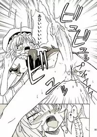 (Reitaisai 2) [Takakuya (Takaku Toshihiko)] Touhou Youjo Ranbu 2 (Touhou Project)