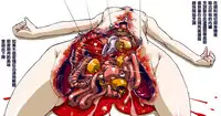 [スキヨ] 【アイドル】肉の蟹張【肉料理】 [廢人渣翻] (R-18G)