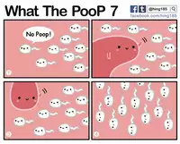 What the PooP [On Going]