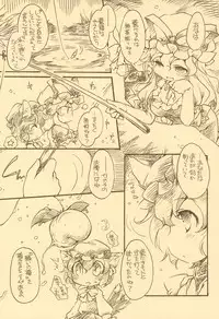 (Kouroumu 5) [Hinaprin (Ikuta Takanon)] Toriko Jikake no Orange. (Touhou Project)