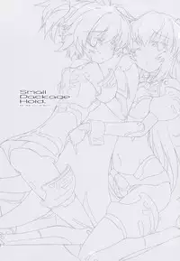 (C83) [korokoro koronP (Fujiwara Warawara)] Small Package Hold. (Busou Shinki) [English]