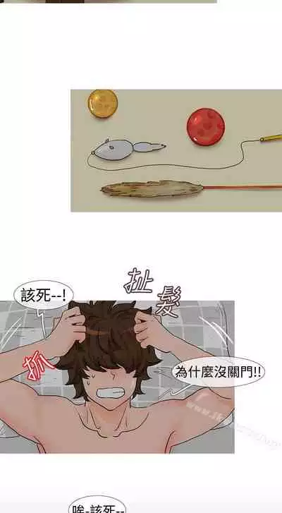 小野貓馴服手冊