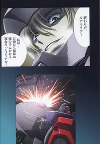 (C75) [HenReiKai (Kawarajima Koh)] SEED ANOTHER CENTURY D.E 7 (Gundam SEED)